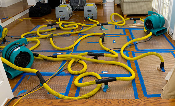 Professional Burst Pipe Water Damage technician working in Jackson, MN